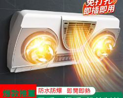 雙檔暖風浴霸燈