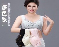 美背無鋼圈內衣