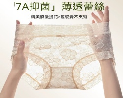 提花高彈女士內褲